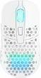 Actual product image CHERRY xtrfy M42 Wireless Gaming Mouse, RGB (Wireless)