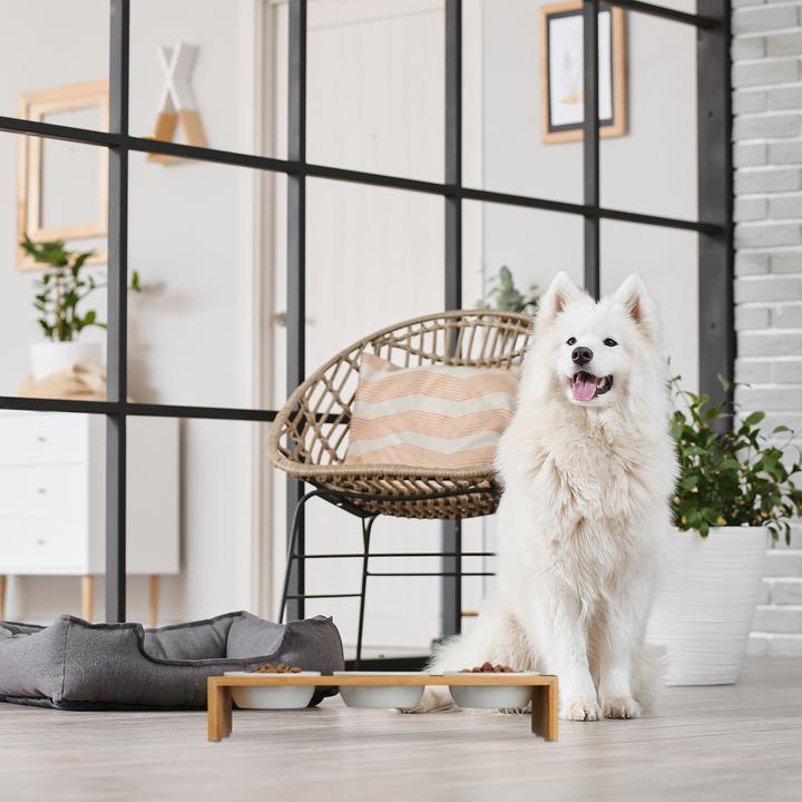 Immagine prodotto Relaxdays Stazione di cibo per cani (0.40 l)