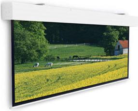 Produktbild Projecta Elpro Large Electrol 316x500 MW 16:10 no Border (227", 16:10)