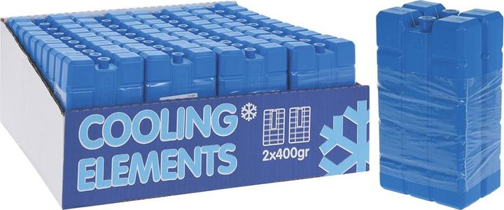 Actual product image Champ Cooling element set of 2