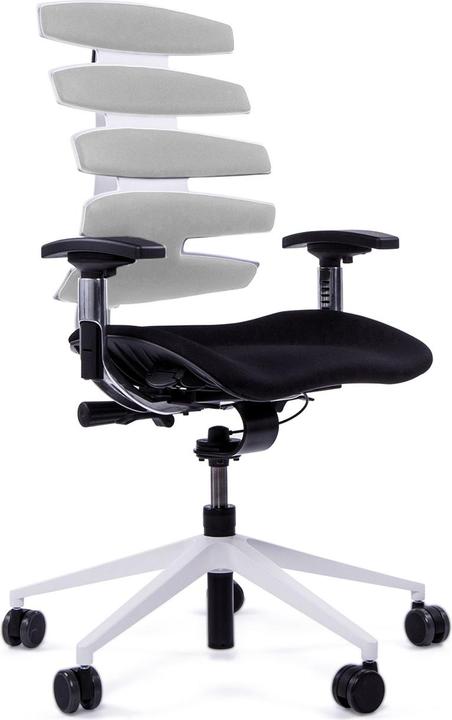 Actual product image Sitag SitagWAVE with white turnstile