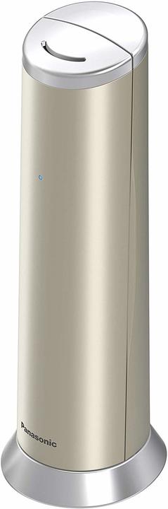 Image du produit Panasonic KX-TGK220GN