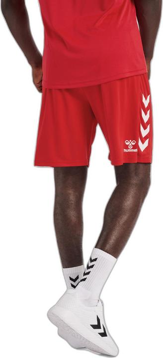 Image du produit hummel Core Xk Poly Short (L)