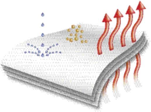 Image du produit Uvex Safety 5/6 climazone (S)