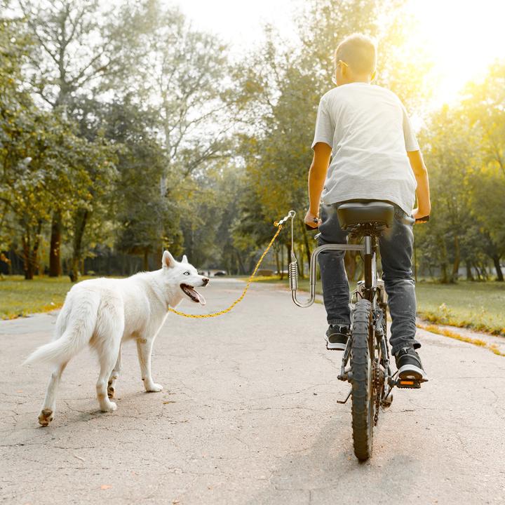 Produktbild Relaxdays Fahrradleine (One Size, Hund, Fahrrad)
