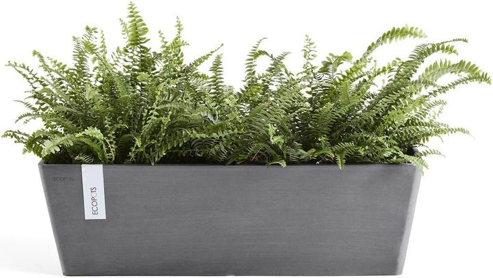 Actual product image Ecopots Bruges (20 cm)