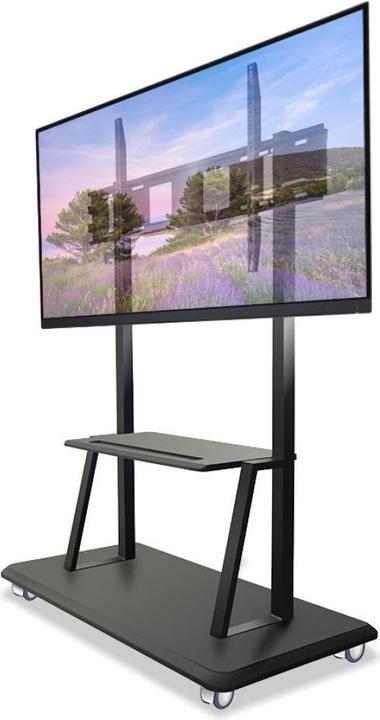 Actual product image Techly Trolley - for flat screen - Black (55"-120") (120", 150 kg)