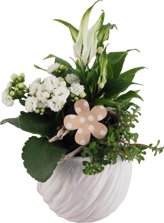 Produktbild Migros Ostschweiz Topf Arrangement gross (32 cm)