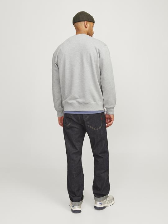 Produktbild Jack & Jones RDD Gedruckt Sweatshirt Sweatshirt (XXL)