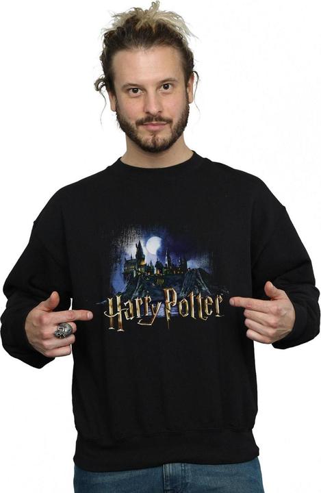 Produktbild Absolute Cult Hogwarts Castle Sweatshirt (M)