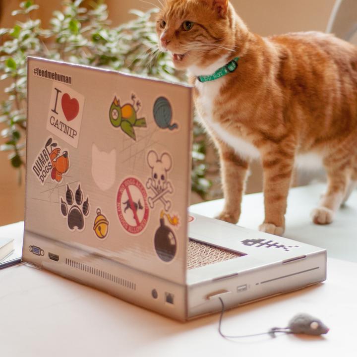 Image du produit Suck UK Ordinateur portable (Jouet d'occupation chat, Jouet à gratter chat)