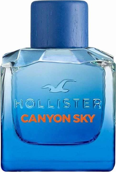 Image du produit Hollister Canyon Sky For Him - EDT - 100 ml (Eau de toilette, 100 ml)