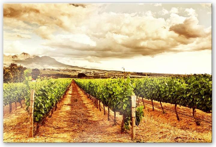 Actual product image Trenddeko Vines in the mountains (120 x 75 cm)