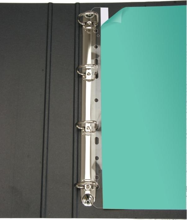 Actual product image Filing strips A4/295mm