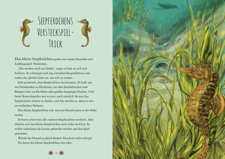 Produktbild Wunderwelt der Tiere im Meer - Gelesen von Jakob Graf (Chae Strathie, Jakob Graf, Erin Brown, Beatrix Rohrbacher, Deutsch)