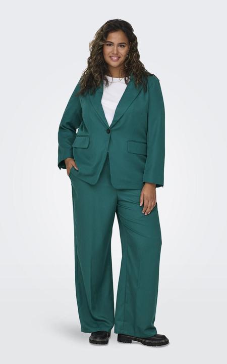Actual product image Only Loose fit lapel collar Curve blazer Classic blazer (48)