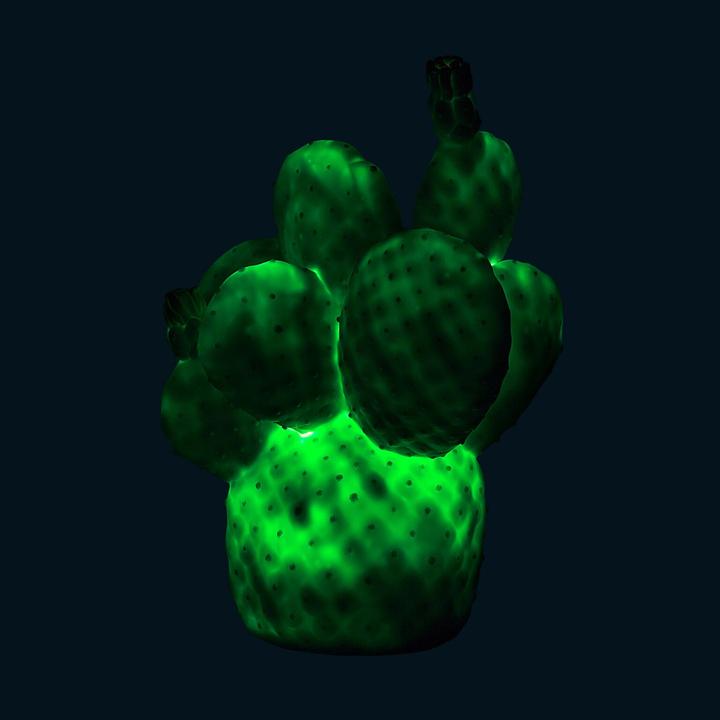 Immagine prodotto Goodnight Light Cactus