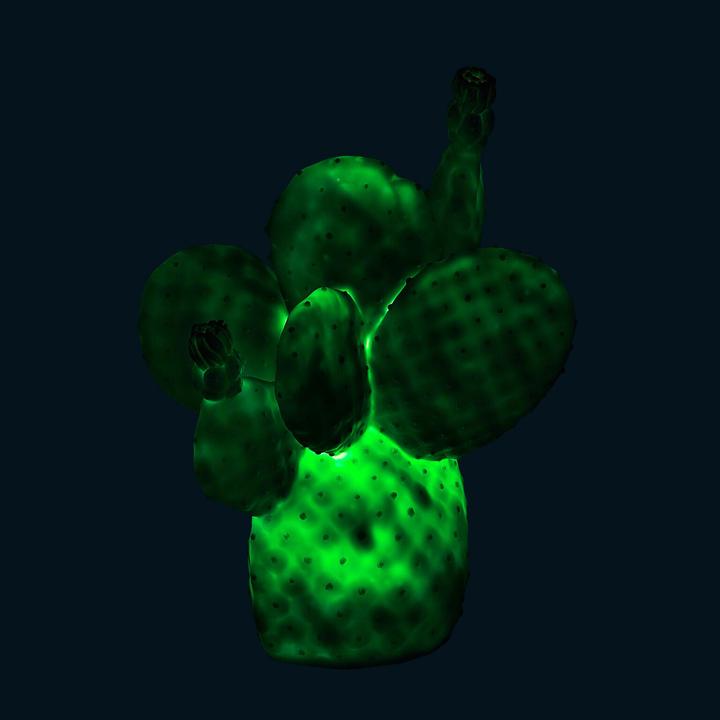 Immagine prodotto Goodnight Light Cactus