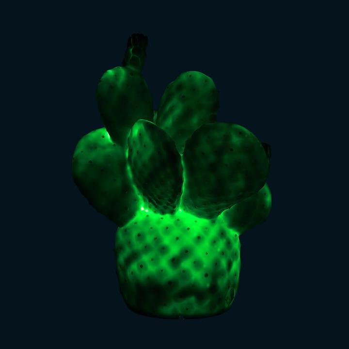 Immagine prodotto Goodnight Light Cactus