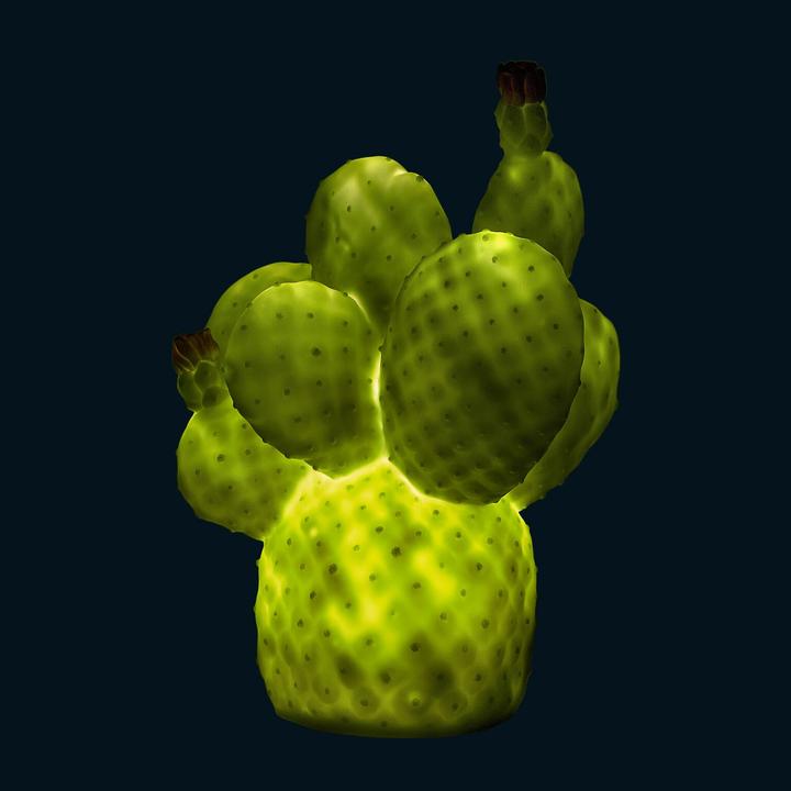 Immagine prodotto Goodnight Light cactus