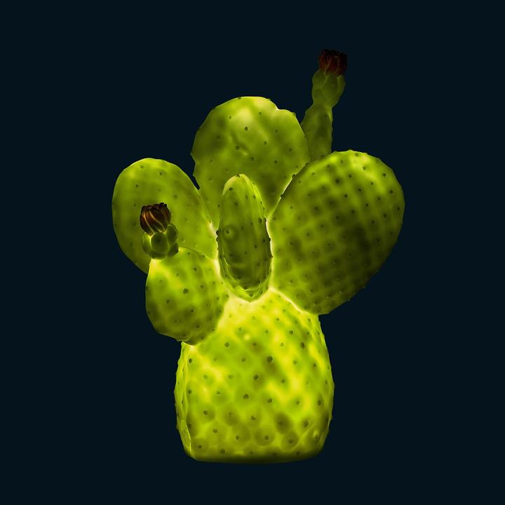Immagine prodotto Goodnight Light cactus