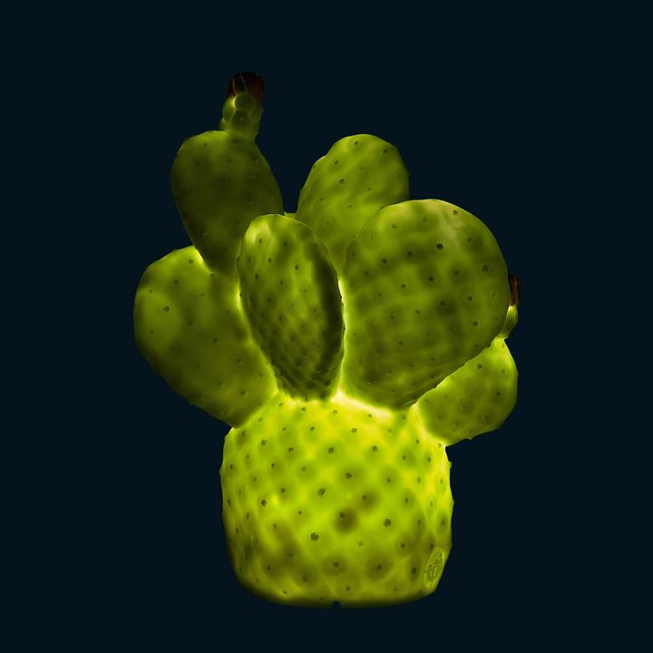 Immagine prodotto Goodnight Light cactus