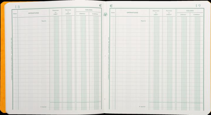 Actual product image Exacompta Budget books (40 x)