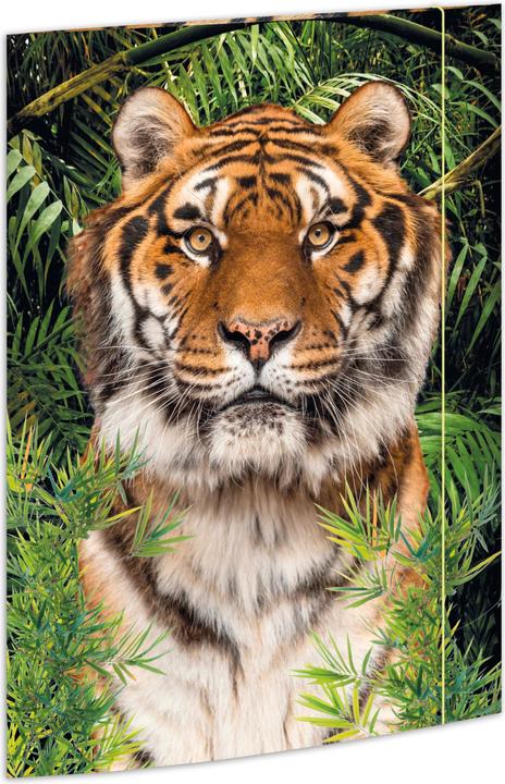 Produktbild Rnk Verlag Zeichenmappe DIN A3 Tiger (A3, 1 x)