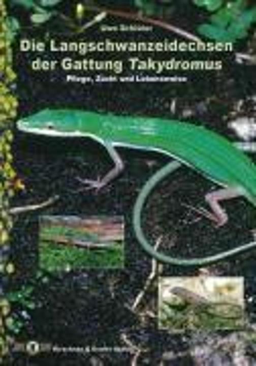 Die Langschwanzeidechsen der Gattung Takydromus (Deutsch, Uwe Schlüter, 2003)