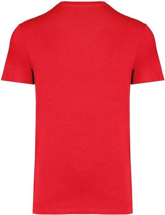 Actual product image Native Spirit Unisex Adult Heavyweight Slim T-Shirt (L)