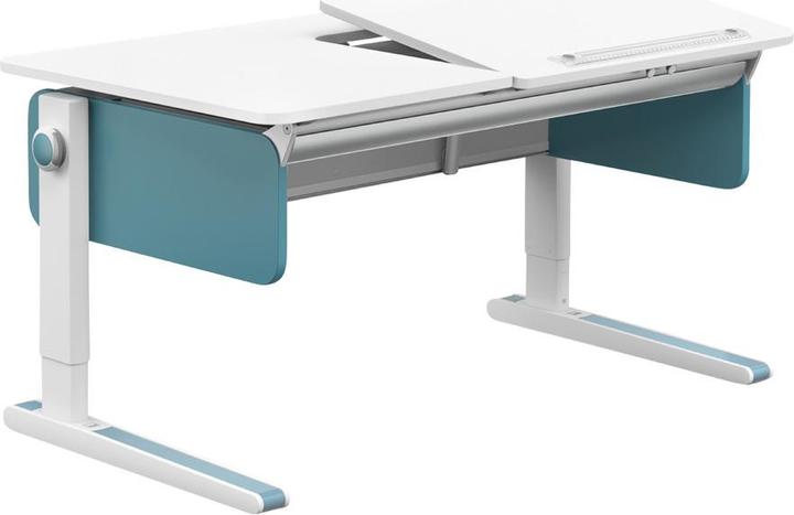 Actual product image Moll Champion Right Up (120 x 53 cm)
