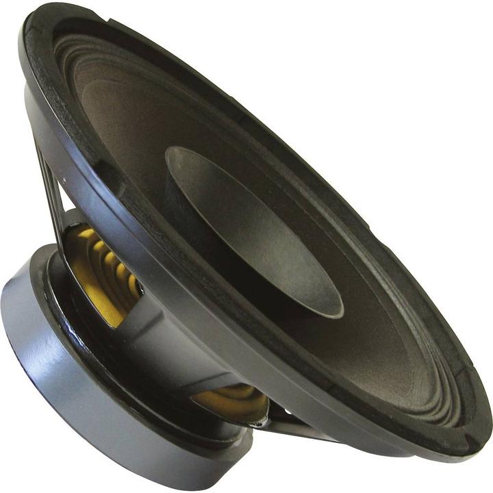 Actual product image Rockwood BLANKO PA Bass Fullrange 200 mm Guitar Speaker