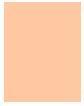 Actual product image Estée Lauder Double Wear Stay-In-Place (1N1 Ivory Nude)