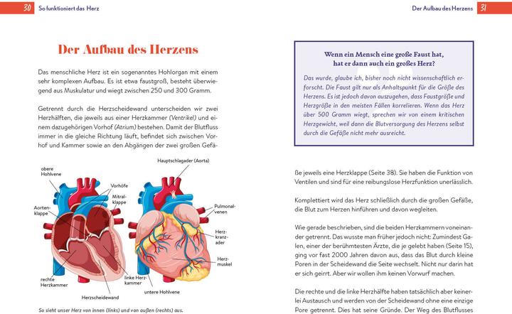 Produktbild Gesundheit ist Herzenssache (Deutsch, Dr. med. Markus Knapp, Thomas Krug, 2024)