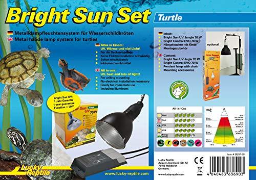 Image du produit Lucky Reptile Lampe à vapeur métallique