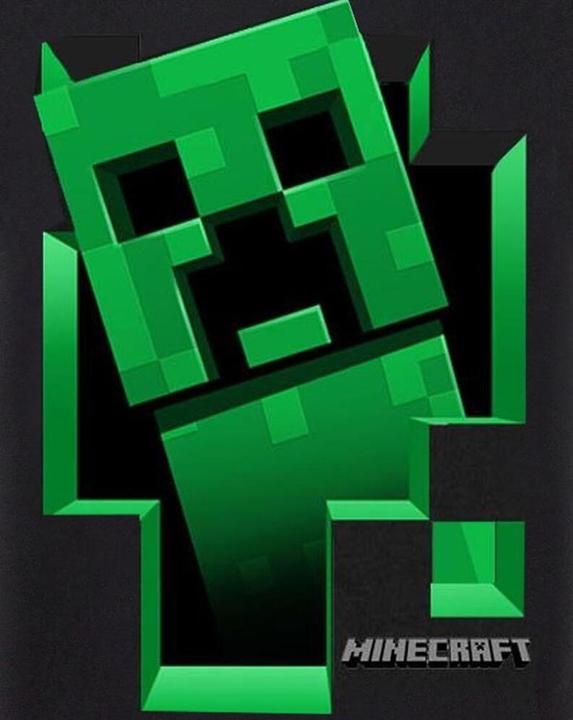 Immagine prodotto Minecraft All'interno dei ragazzi della TShirt (164, 170)