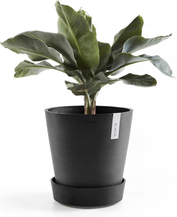 Actual product image Ecopots Saucer on Wheels