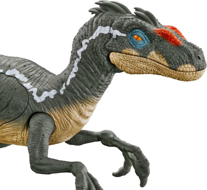 Actual product image Mattel HNC11