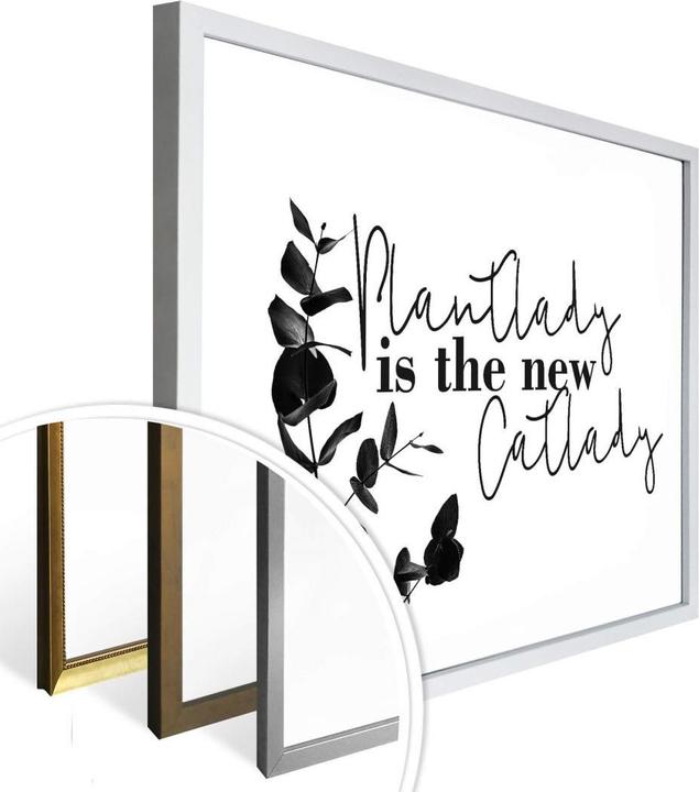 Produktbild Trenddeko Plantlady is the new catlady (30 x 24 cm)