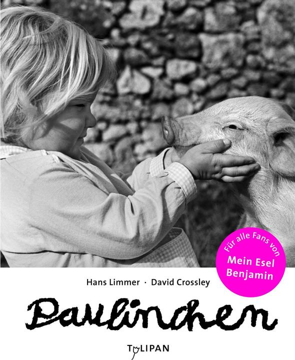 Produktbild Paulinchen Mini (Deutsch, David Crossley, Hans Limmer, 2015)