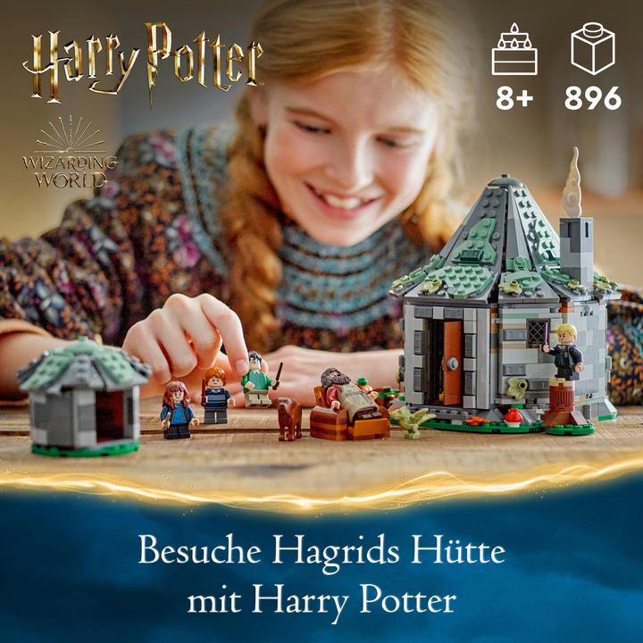 Produktbild LEGO Hagrids Hütte: Ein unerwarteter Besuch (76428, LEGO Harry Potter)
