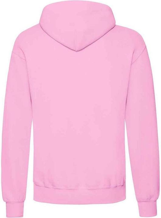 Actual product image Fruit of the Loom Adults Unisex Classic Hooded Sweatshirt (S)