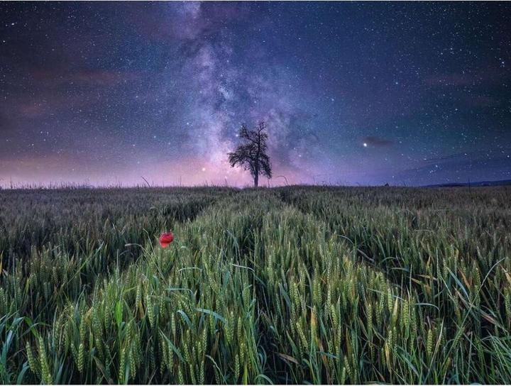 Immagine prodotto Ravensburger Puzzle 12000799 - Il cielo notturno sopra il campo di grano - puzzle da 1500 pezzi per adulti da (1500 pezzi)