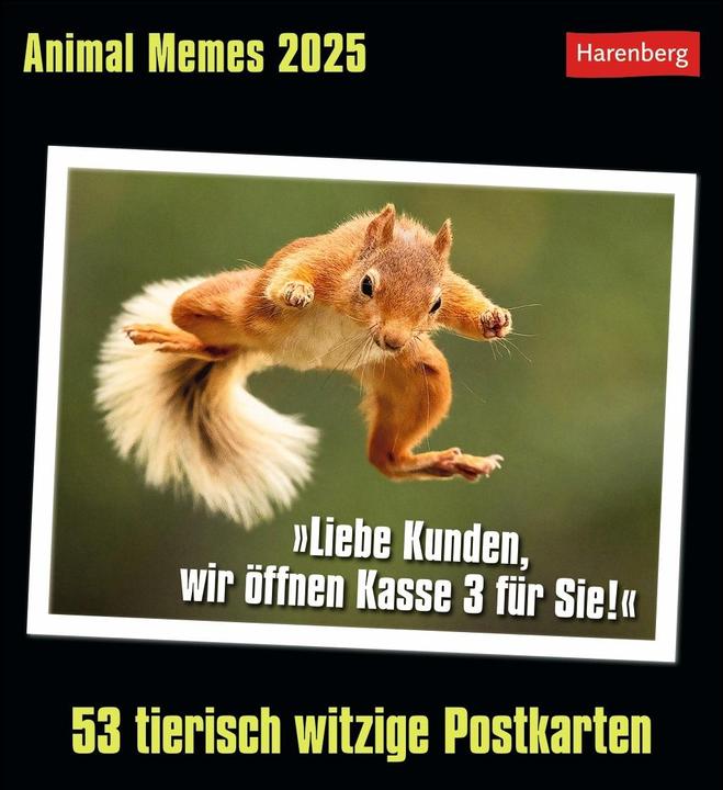 Immagine prodotto Harenberg Calendario cartoline animali 2025 - 53 cartoline animali divertenti (16 x 17,5 cm, Nessuna rilegatura, Inglese, Tedesco)