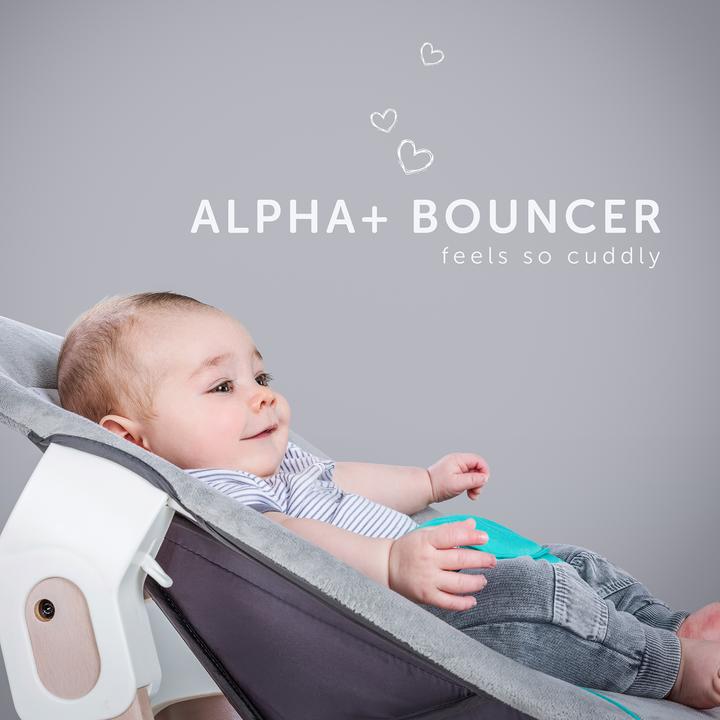 Actual product image Hauck Alpha bouncer 2 in 1