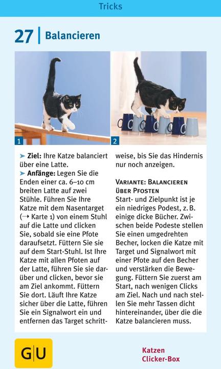 Actual product image Katzen-Clicker-Box (German, Birgit Rödder, 2013)