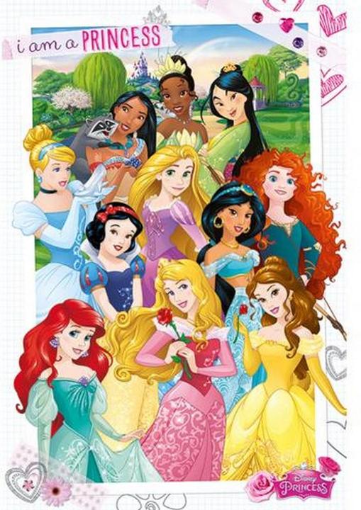 Produktbild Disney Princess Poster (61 x 91 cm)