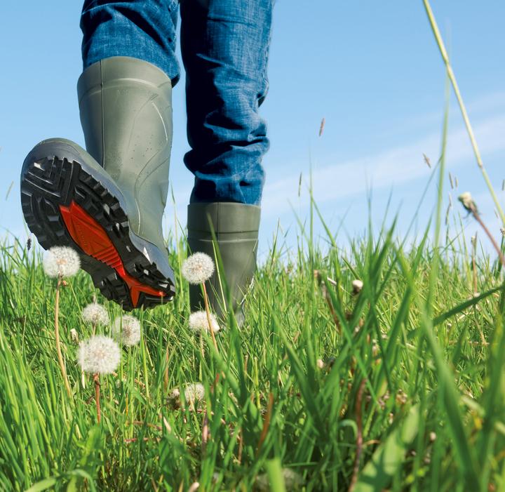 Image du produit Dunlop Bottes de sécurité Purofort Plus S5 (36)
