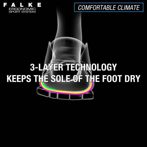 Actual product image Falke RU4 Invisible (42 - 43)
