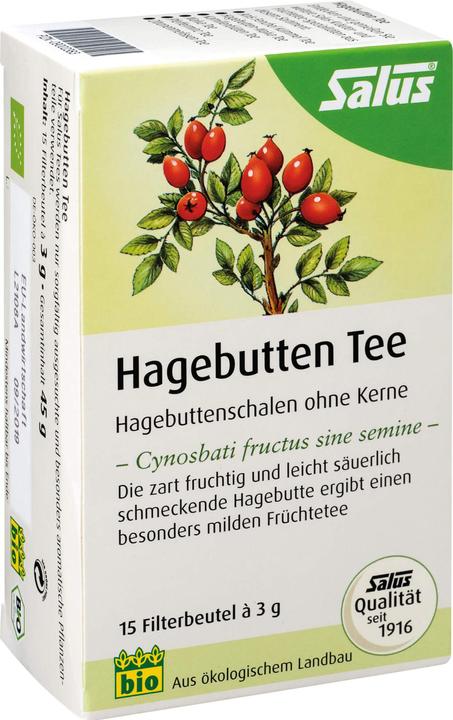 Actual product image Salus Rosehip Fruit Tea, 15 pcs. Filter bag (45 g)
